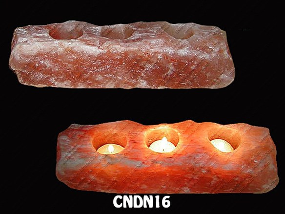 CNDN16
